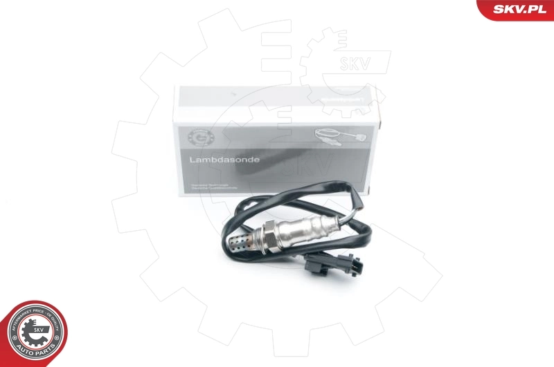 Oxygen Sensor